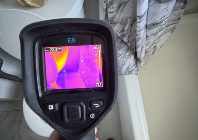 Moisture Detection Tampa Bay Florida