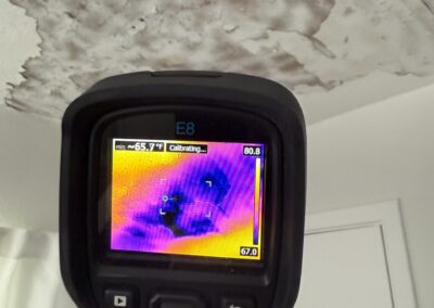 Moisture Detection Tampa Bay Florida
