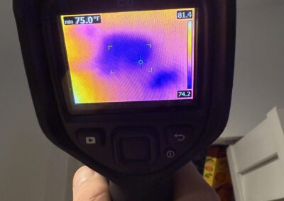 Moisture Detection Tampa Bay Florida