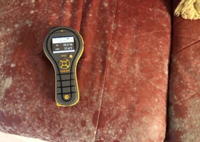 Moisture Detection Tampa Bay Florida