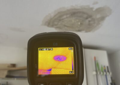 Moisture Detection Tampa Bay Florida