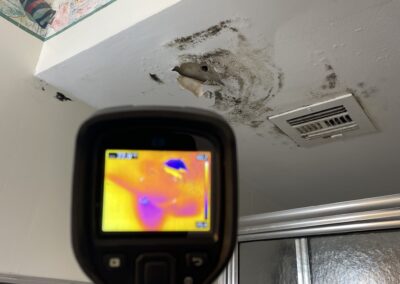 Moisture Detection Tampa Bay Florida