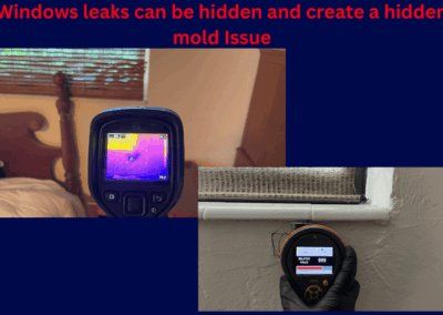 Moisture Detection Tampa Bay Florida