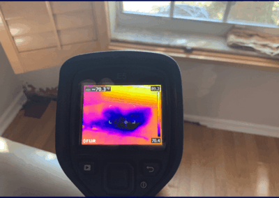 Moisture Detection Tampa Bay Florida