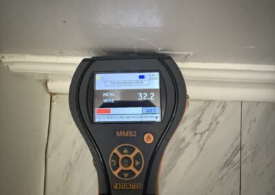 Moisture Detection Tampa Bay Florida