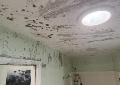 Mold Remediation Tampa Bay Florida