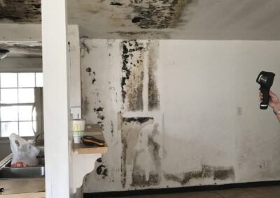 Mold Remediation Tampa Bay Florida