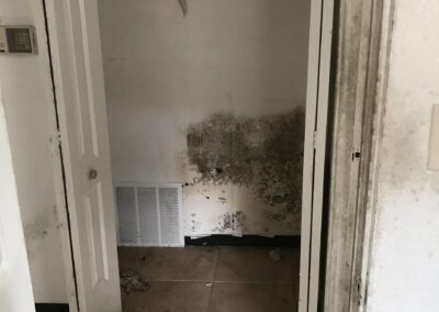 Mold Remediation Tampa Bay Florida