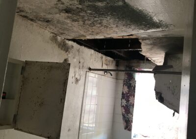 Mold Remediation Tampa Bay Florida