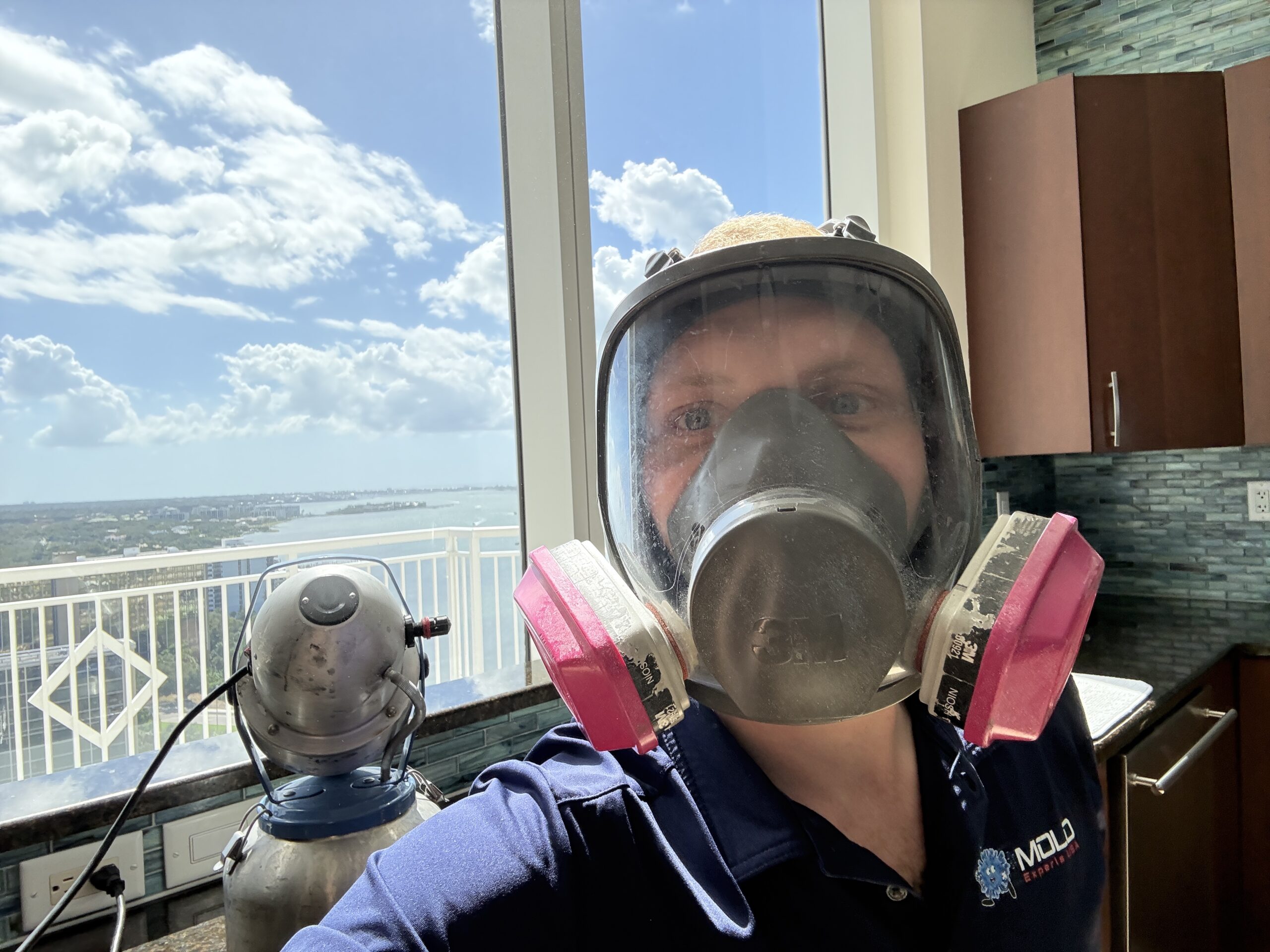 Mold-Remediation-Clearwater-Florida (3) Mold-Remediation-Clearwater-Florida