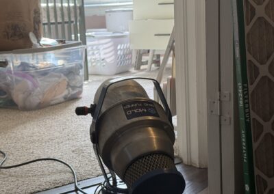 Mold Remediation Tampa Bay Florida