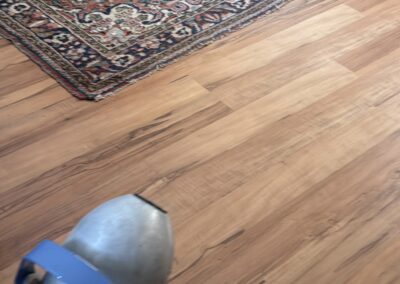 Mold Remediation Tampa Bay Florida