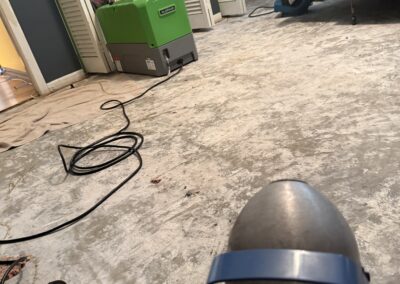 Mold Remediation Tampa Bay Florida