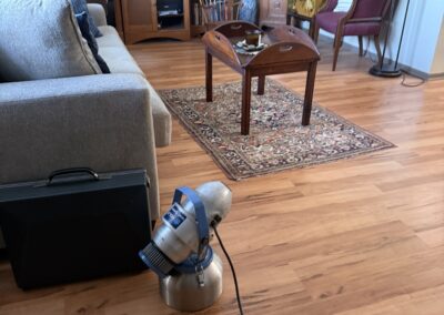 Mold Remediation Tampa Bay Florida