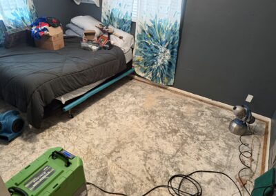 Mold Remediation Tampa Bay Florida